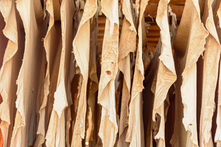 Leather drying in the tannery at ancient medina of Fes El Bali. Fez, Moroccoのeditorial素材