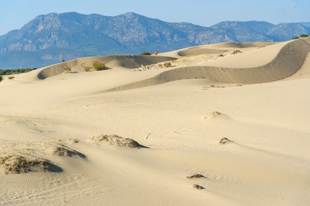 White Sand dunes on Patara beach. Antalya Province. Turkeyの写真素材