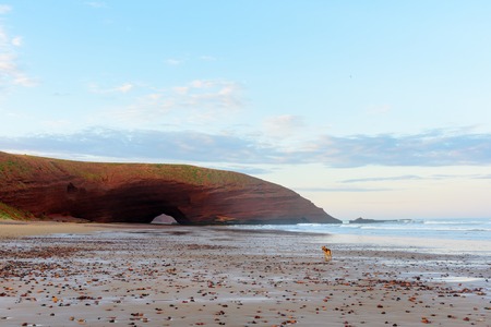 Legzira beach with huge arch of rock in the morning fog. Moroccoの写真素材