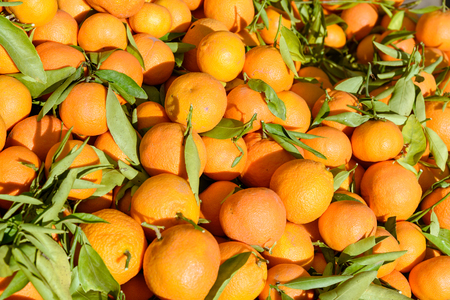 Oranges in street market Marrakesh, Moroccoの写真素材