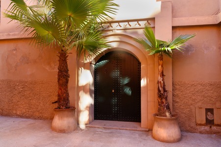 Door of house in medina. Marrakech. Moroccoの写真素材