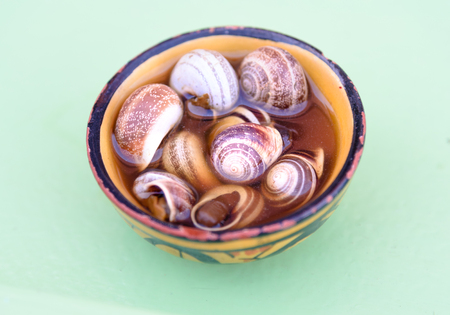 Boiled and cooked snails with striped shells in small bowl on market. Marrakesh, Morocco