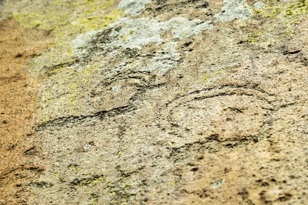Ancient petroglyphs rock carvings on stones near Kuyus village. Altai Republic, Siberia. Russiaの写真素材