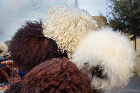 Sheep hats in market on the street in Old city Icheri Sheher in Baku. Azerbaijanの写真素材