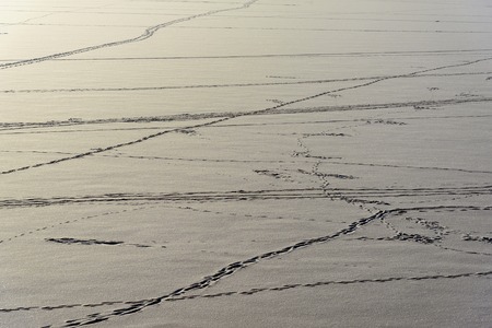 Snow with footprints in winter. Landscape, Backgroundの写真素材