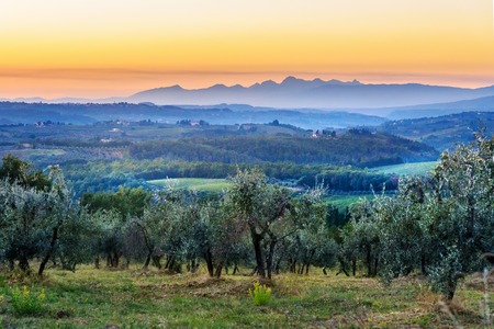 Countryside landscape, Vineyard in Chianti region in Tuscany at sunsen. Italyの写真素材