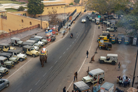 Amber village, India - January 31, 2019: Elephant on the road near Amber fort. Jaipur. Rajasthan