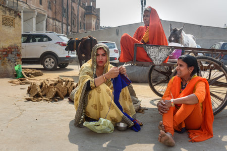 Jaipur, India - February 01, 2019: Street life. Women, cows and horses on the street in Jaipur. Rajasthanのeditorial素材
