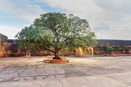 Lakshmi Villas in Jaigarh Fort. Jaipur. Rajasthan Indiaのeditorial素材