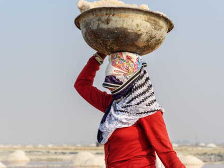 Sambhar, India - February 04, 2019: Portrait of Indian woman carrying basin with salt on her head on Sambhar Salt Lake. Rajasthanのeditorial素材