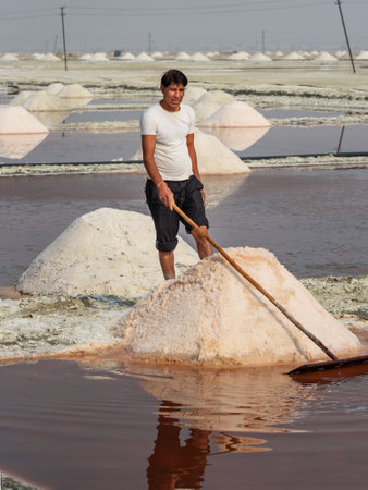 Sambhar, India - February 04, 2019: Indian man mining salt on Sambhar Salt Lake. Rajasthanのeditorial素材