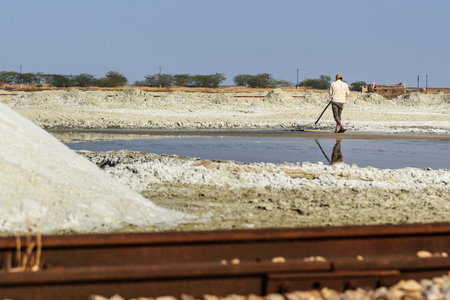 Sambhar, India - February 03, 2019: Indian man mining salt on Sambhar Salt Lake. Rajasthanのeditorial素材