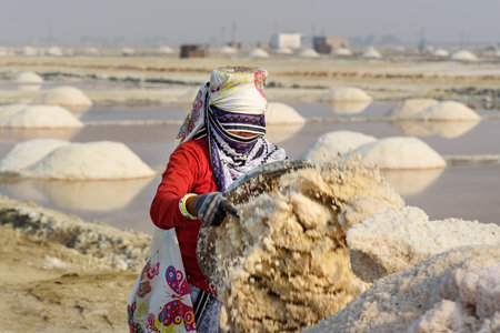 Sambhar, India - February 04, 2019: Portrait of Indian woman carrying basin with salt on her head on Sambhar Salt Lake. Rajasthanのeditorial素材