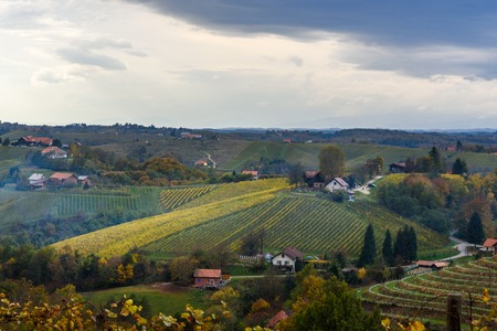 Beautiful vineyards landscape of Jeruzalem on Slovene Hills in Ljutomer. Northeastern Slovenia