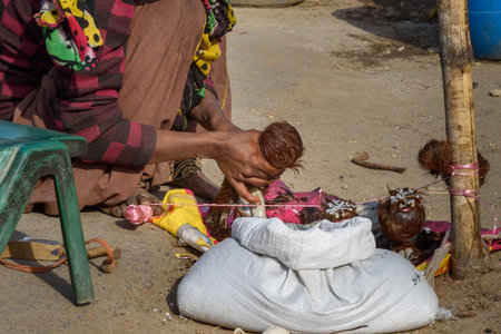Ajmer, India - February 07, 2019: Indian woman makes fake Kasturi Deer Musk Pod from dog's skin on the street in Ajmer. Rajasthanのeditorial素材