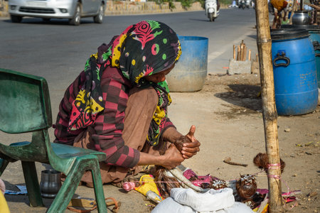Ajmer, India - February 07, 2019: Indian woman makes fake Kasturi Deer Musk Pod from dog's skin on the street in Ajmer. Rajasthanのeditorial素材
