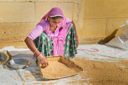 Jaisalmer, India - February 16, 2019: Indian women cleaning rice on the street in Jaisalmer. Rajasthanのeditorial素材