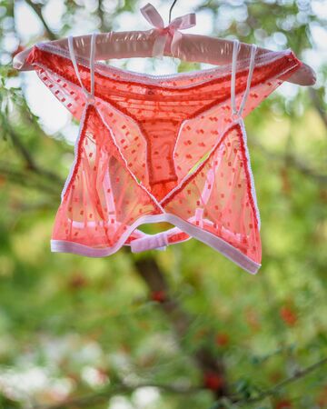Orange underwear hanging on hanger on nature backgroundの写真素材