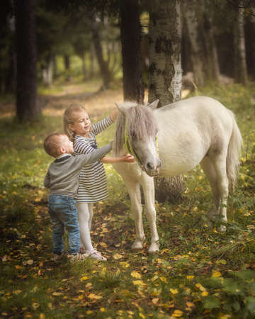 Little blond girl and boy is standing near the little horse pony and hugging it in summer forestの写真素材