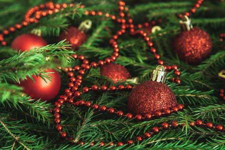 Background of Christmas tree branches with red baubles and beads. Nature New Year textureの写真素材