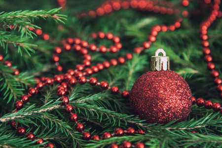 Background of Christmas tree branches with red baubles and beads. Nature New Year textureの写真素材