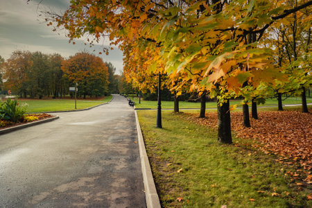 Kolomenskoye park on autumn day in Moscow. Russiaの写真素材