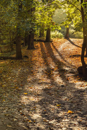View of Filevsky Park in autumn in Moscow. Russiaの写真素材