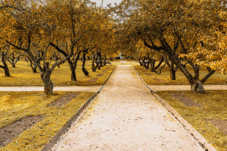 Kolomenskoye park on autumn day in Moscow. Russiaの写真素材