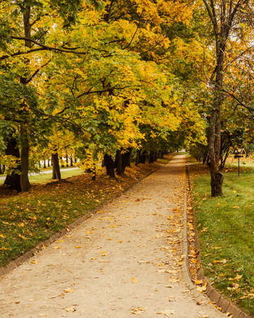 Kolomenskoye park on autumn day in Moscow. Russiaの写真素材