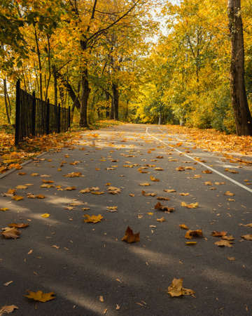 Kolomenskoye park on autumn day in Moscow. Russiaの写真素材