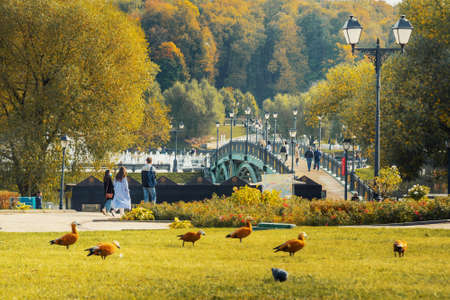 Moscow, Russia - October 05, 2020: Pedestrian bridge to the island Horseshoe in Tsaristyno park on autumn dayのeditorial素材