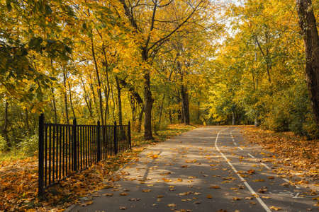 Kolomenskoye park on autumn day in Moscow. Russiaの写真素材