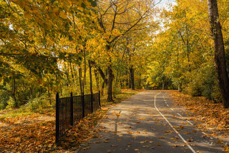 Kolomenskoye park on autumn day in Moscow. Russiaの写真素材