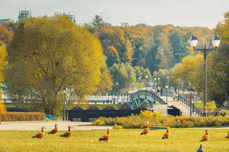 Moscow, Russia - October 05, 2020: Pedestrian bridge to the island Horseshoe in Tsaristyno park on autumn dayのeditorial素材