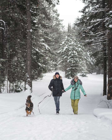 Happy young couple walking with dog in forest on winter dayの写真素材