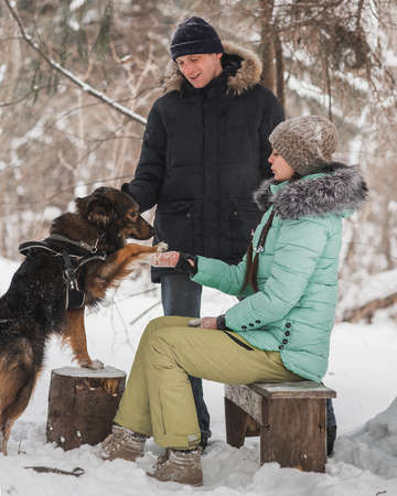 Happy young couple walking with dog in forest on winter dayの写真素材