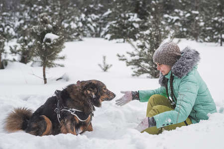 Woman having fun with dog in the snow in winter forestの写真素材