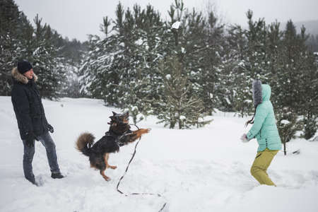 Happy young couple walking with dog in forest on winter dayの写真素材
