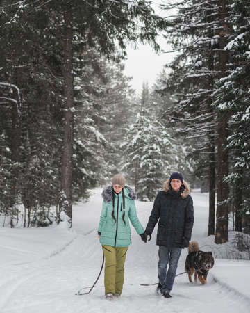 Happy young couple walking with dog in forest on winter dayの写真素材