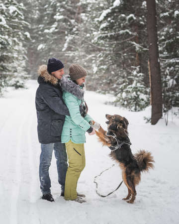 Happy young couple walking with dog in forest on winter dayの写真素材