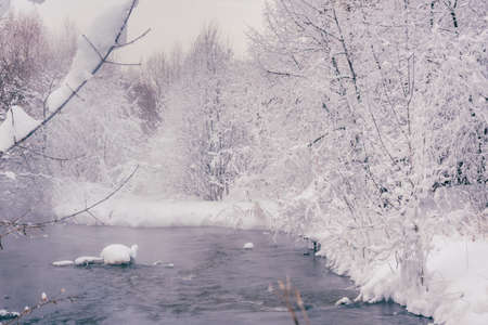 Winter scene of snowy trees and riverの写真素材