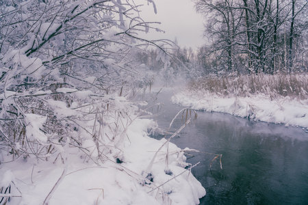 Winter scene of snowy trees and riverの写真素材