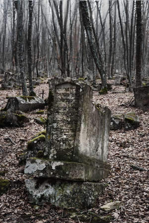 Bakhchisarai, Crimea - March 12, 2021: Gravestones in Karaite ancient cemetery Balta-Tiymezのeditorial素材
