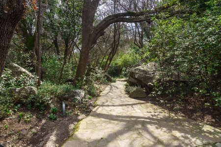 Alley in park of Vorontsov Palace in spring. Alupka. Crimeaの写真素材