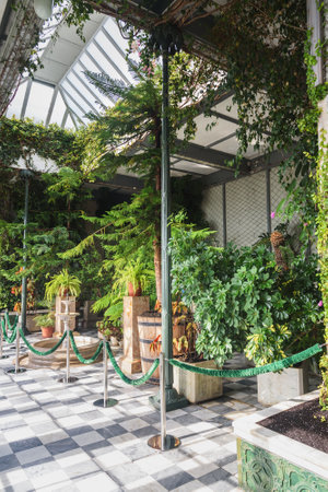 Alupka, Crimea - March 19, 2021: Winter green garden in Vorontsov Palaceのeditorial素材
