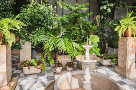 Winter green garden in Vorontsov Palace at Alupka. Crimeaのeditorial素材