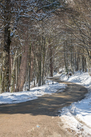 Road with snow to Mount Ai-Petri after blizzard in spring. Crimeaの写真素材