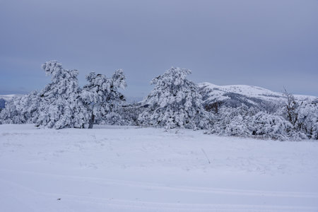 Rocks on Southern Demerdzhi mountain in snow after blizzard in early spring. Crimeaの写真素材