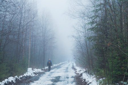 Forest road in the fog in winterの写真素材