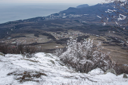 Bush frozen in ice on Demerdzhi mountain slope in early spring. Crimeaの写真素材
